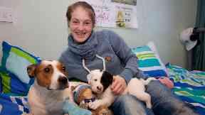 Appeal: All4Paws is looking for owners for the pups.