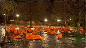 Sleep in the Park: 8000 people took part last year.