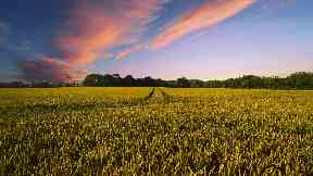 Payments: Eligible farmers will be able to borrow up to 95% of their Basic Payment Scheme 2019 payments.