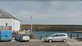 Dog death: Dunbar Harbour.