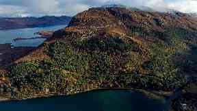 Appeal: Woodland Trust Scotland hopes to buy the mountain.