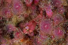 They found a thriving underwater world.