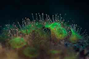 Photographer George Stoyle was one of the dive team members .