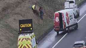 Hogging the highway: The pig caused disruption last month.