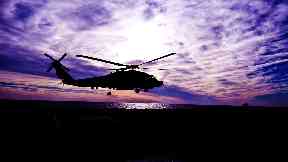 Helicopter: Struck pigeon.