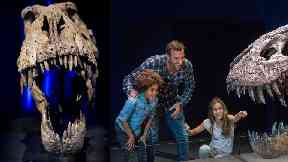 Roarsome: Trix will be on display in Kelvin Hall.