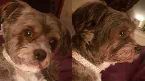 Eccles was snatched in the street.