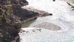 The teenager's image of Nessie on holiday in Canada.