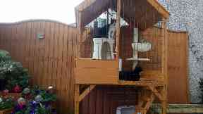 Defence: Alan Smith has tried to protect his pets.