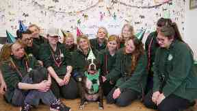 Star: The Staffie has been rehomed after five years.