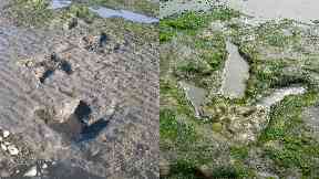 Legal protection: The site contains dinosaur fossils and footprints from the Jurassic age.