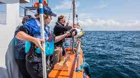 Out to sea: The team prepare to deploy the underwater robot camera.