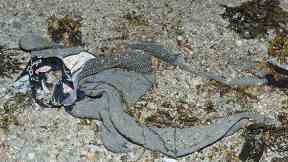 Clothes found: Jogging bottoms were recovered from the shore.