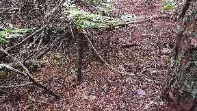 Trap: More than 20 snares were illegally set.