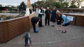 Edinburgh Zoo: Princess Anne met Sir Nils Olav.