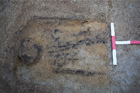 Pictish: Discovery made in the Highlands.