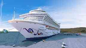 An artist's impression of the expanded harbour.