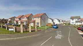 Anstruther: The pedestrian was knocked down on March Road.