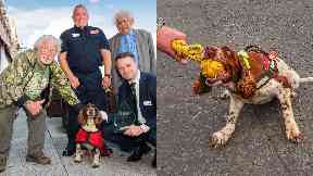 Top dog: The event was hosted by TV personality Bill Oddie and Lord Desai.