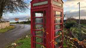 Protest: More than 50 payphones have been saved.