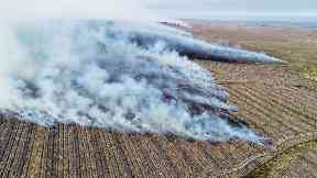 Flames rages across the fields.
