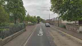 Investigation: A man and a dog were struck on Corstorphine High Street.