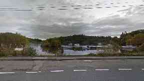 Inchtavannach: Hundreds of trees were killed.