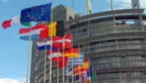 European Parliament election candidates in Scotland