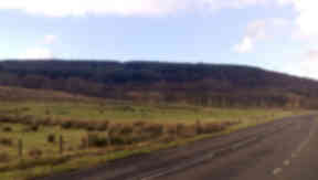 Rhubodach Forest: Community backs buyout plan.