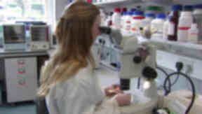 Biotech: Could be worth £130m to economy (file pic).