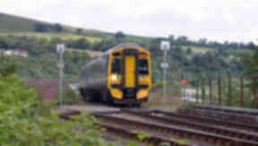 Train: Bird to blame for delay on tracks.