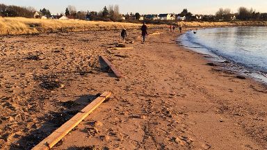 hundreds of planks wash up on beaches as ship sheds load