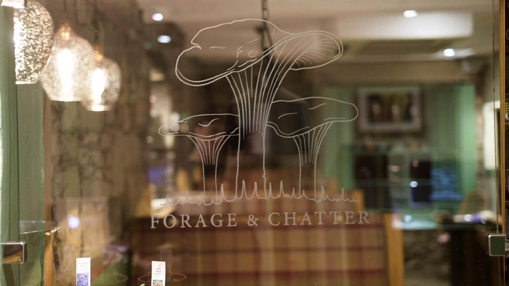 Forage & Chatter Logo