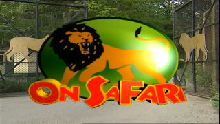 On Safari