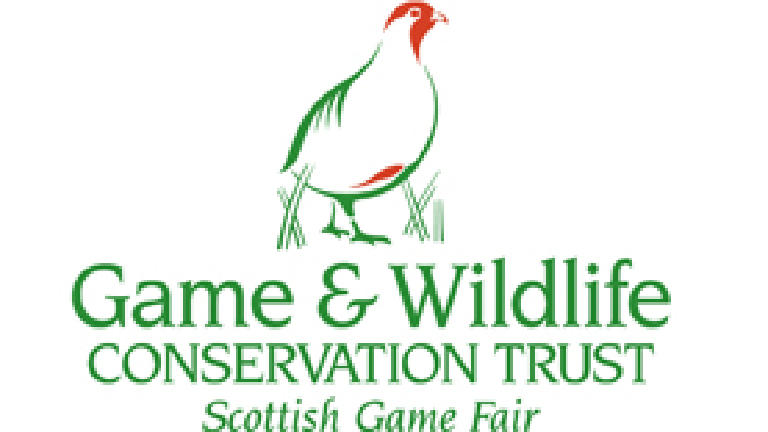 sponsor image