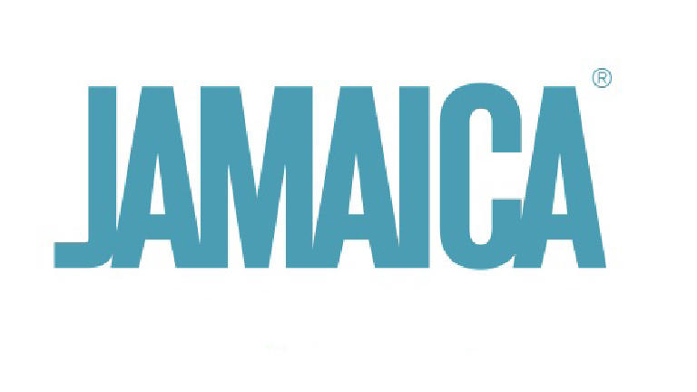 sponsor image